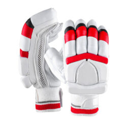 Batting Gloves